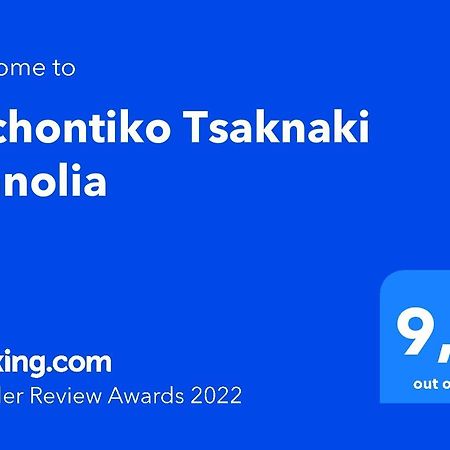 Archontiko Tsaknaki Manolia Hotel Ano Lekhonia Exterior photo